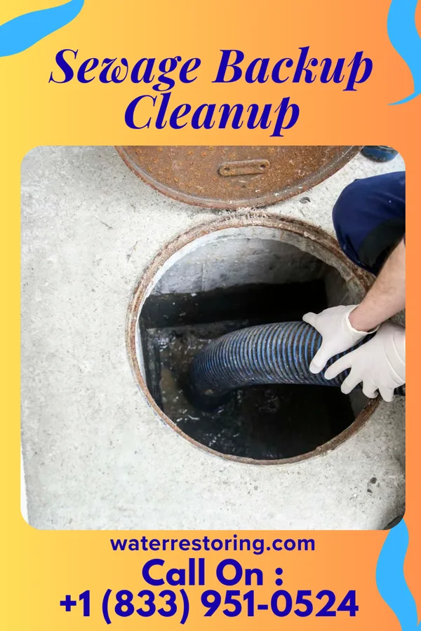 Sewage Backup Cleanup in Hunting Valley, OH