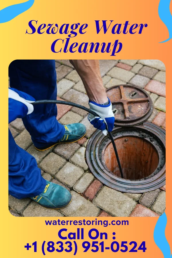 Sewage Water Cleanup in Hunting Valley, OH