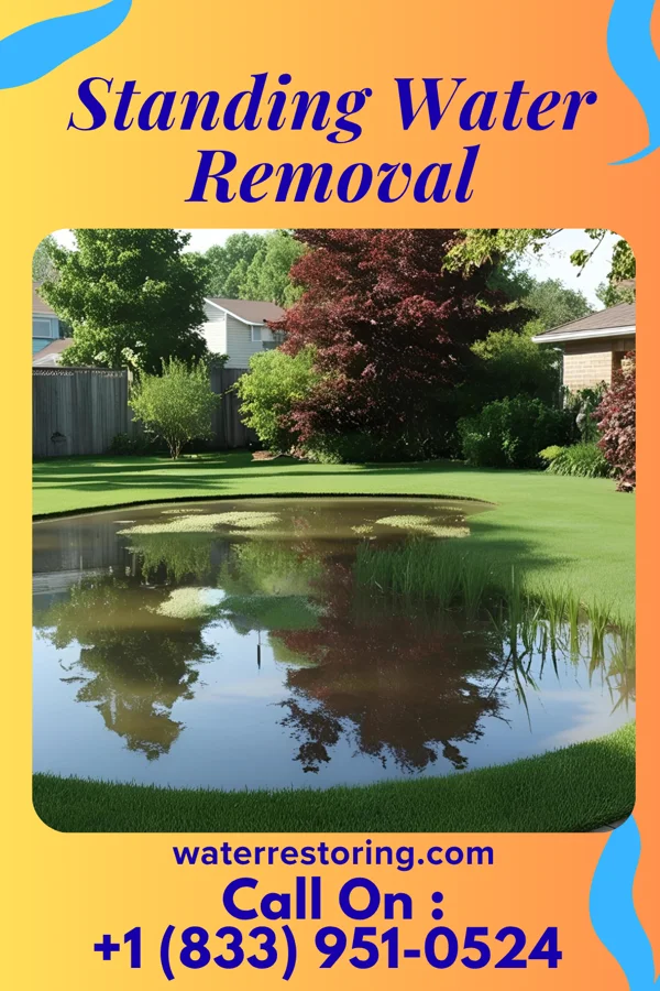 Standing Water Removal in Hunting Valley, OH